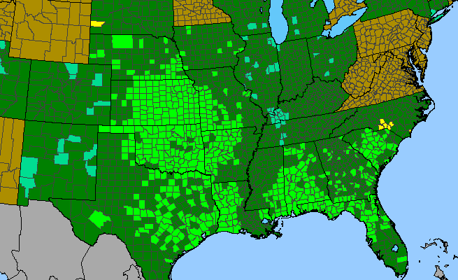 The range of Salvia azurea